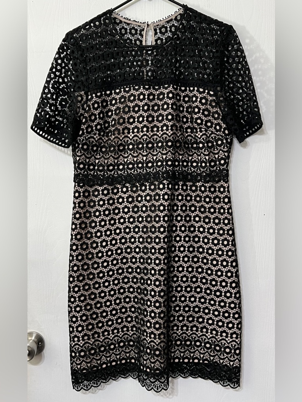 J. Crew Eyelet Daisy Lace Dress